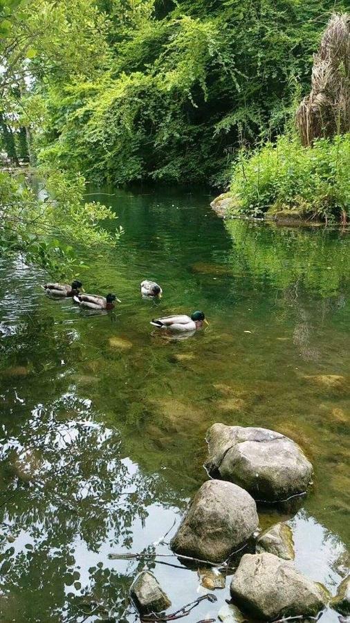 Thistledown - Ballina - Crossmolina - County Mayo - Sleeps 8 - Sister Property To Inglewood Extérieur photo